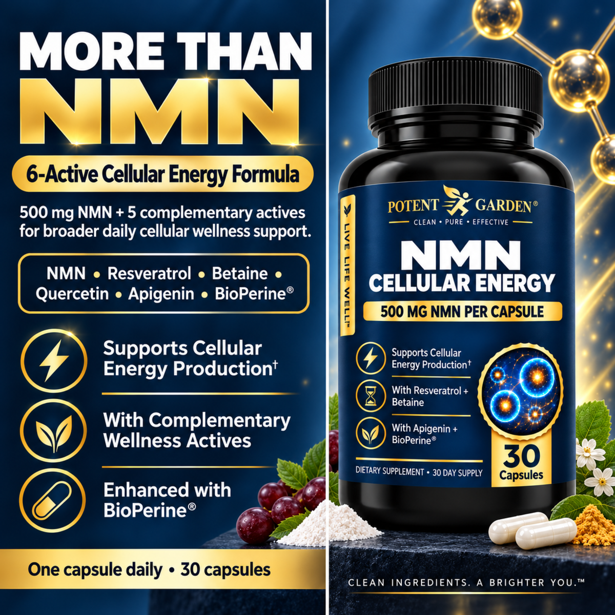 Potent Garden NMN Cellular Energy 500 mg – 30 Capsules