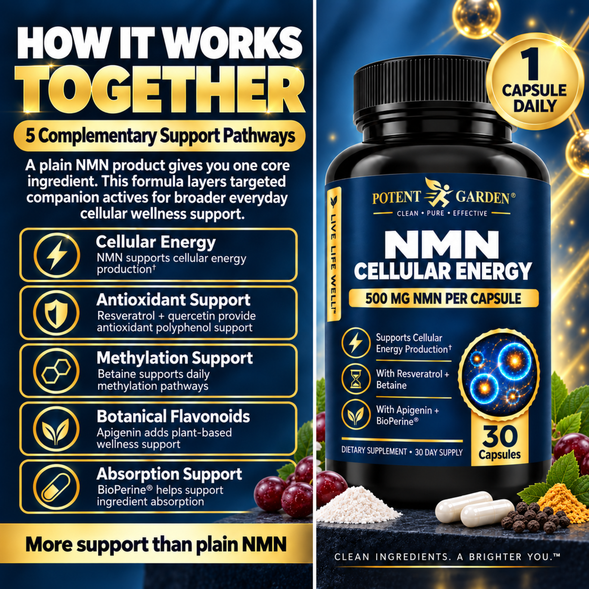 Potent Garden NMN Cellular Energy 500 mg – 30 Capsules