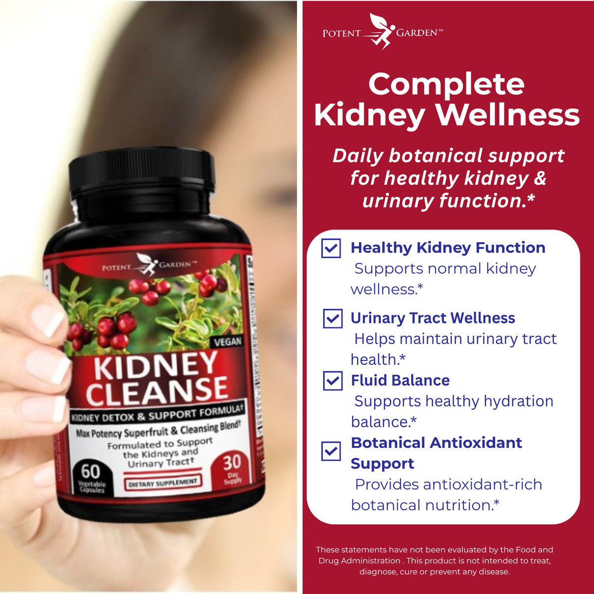Kidney Cleanse – Herbal Support for Everyday Wellness | Potent Garden