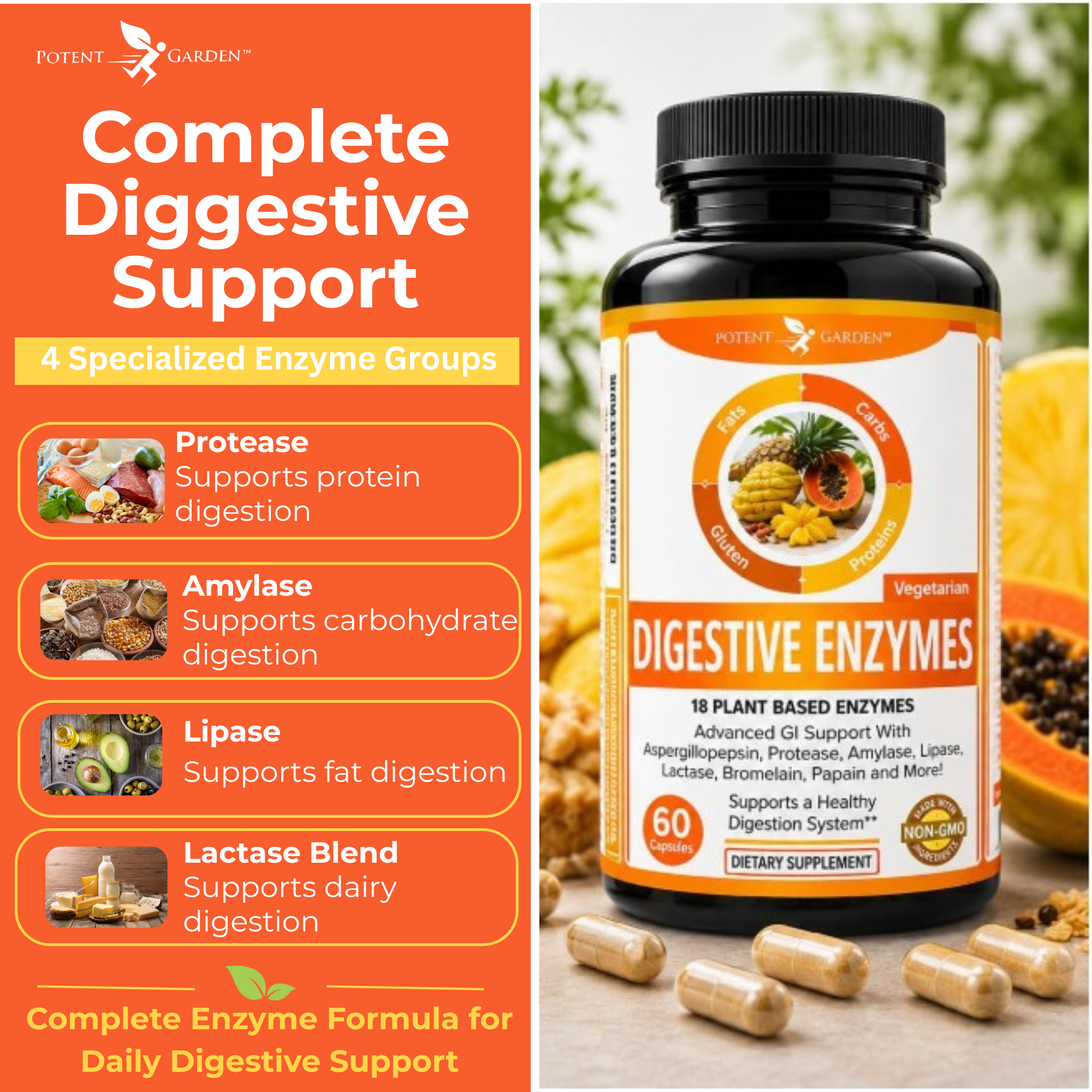 Digestive Enzymes Supplement | Potent Garden