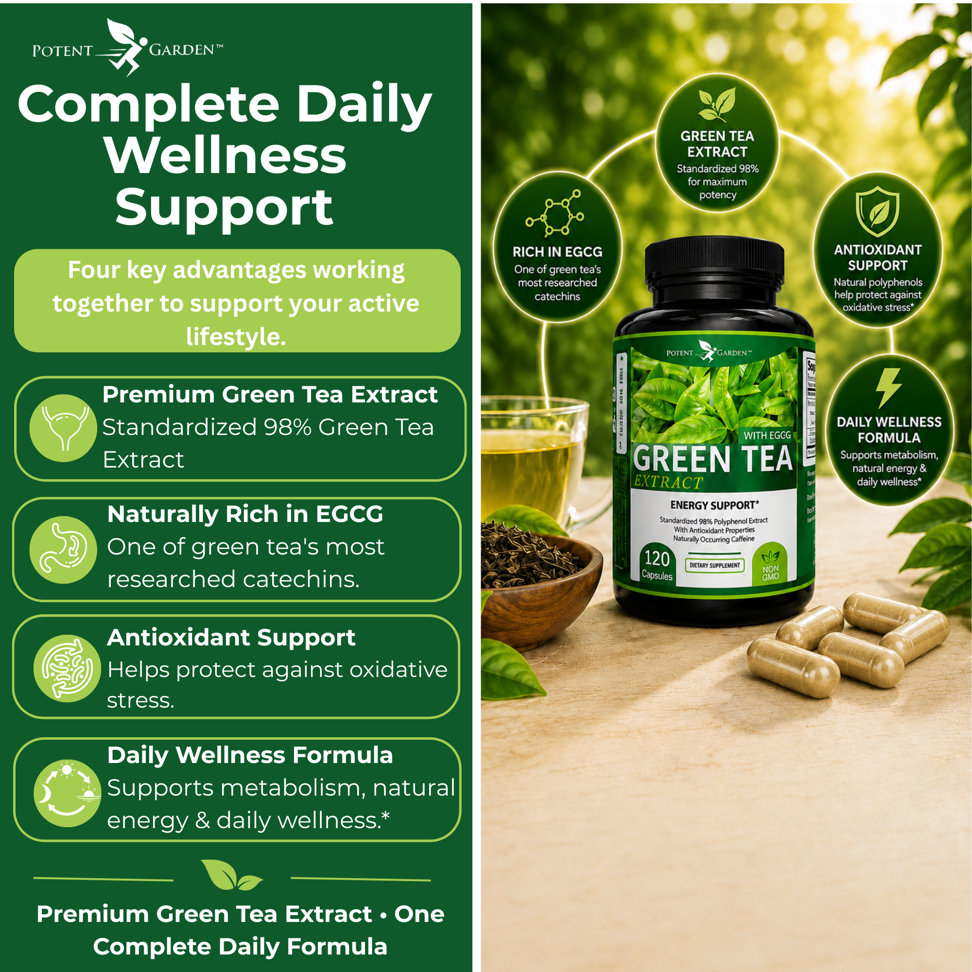 Green Tea Extract | Potent Garden