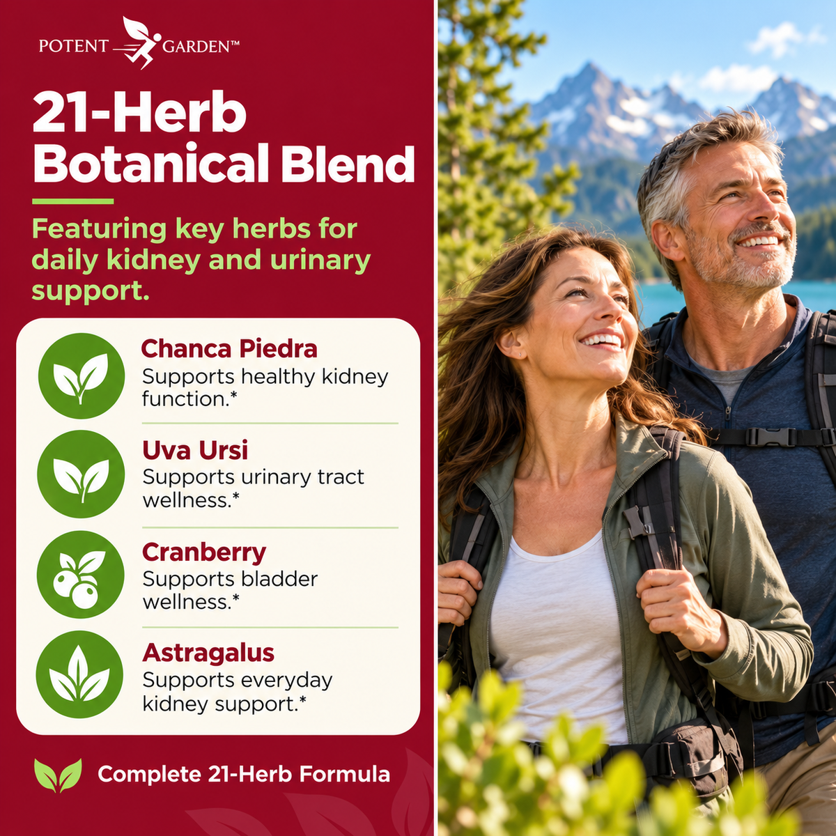 Kidney Cleanse – Herbal Support for Everyday Wellness | Potent Garden
