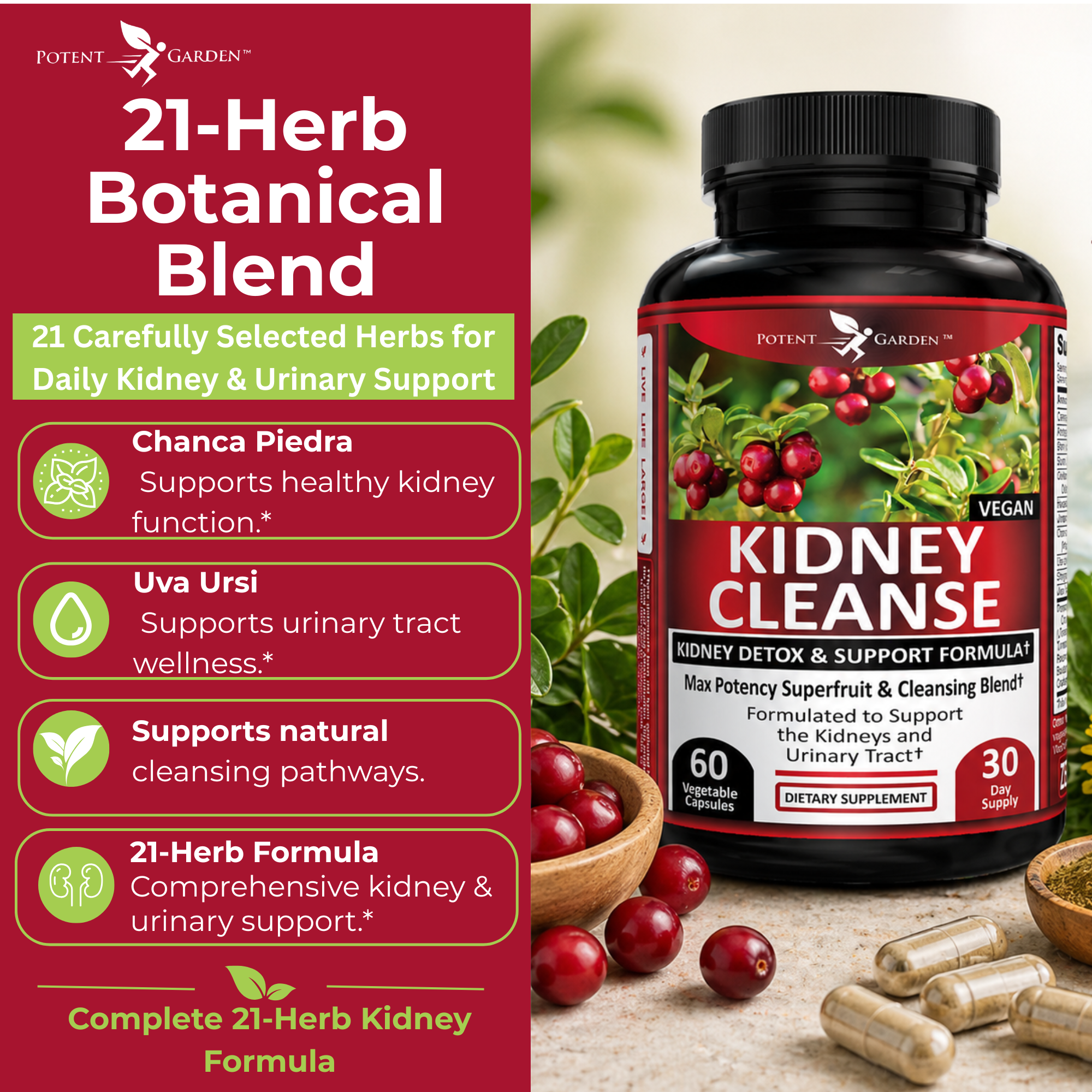 Kidney Cleanse – Herbal Support for Everyday Wellness | Potent Garden