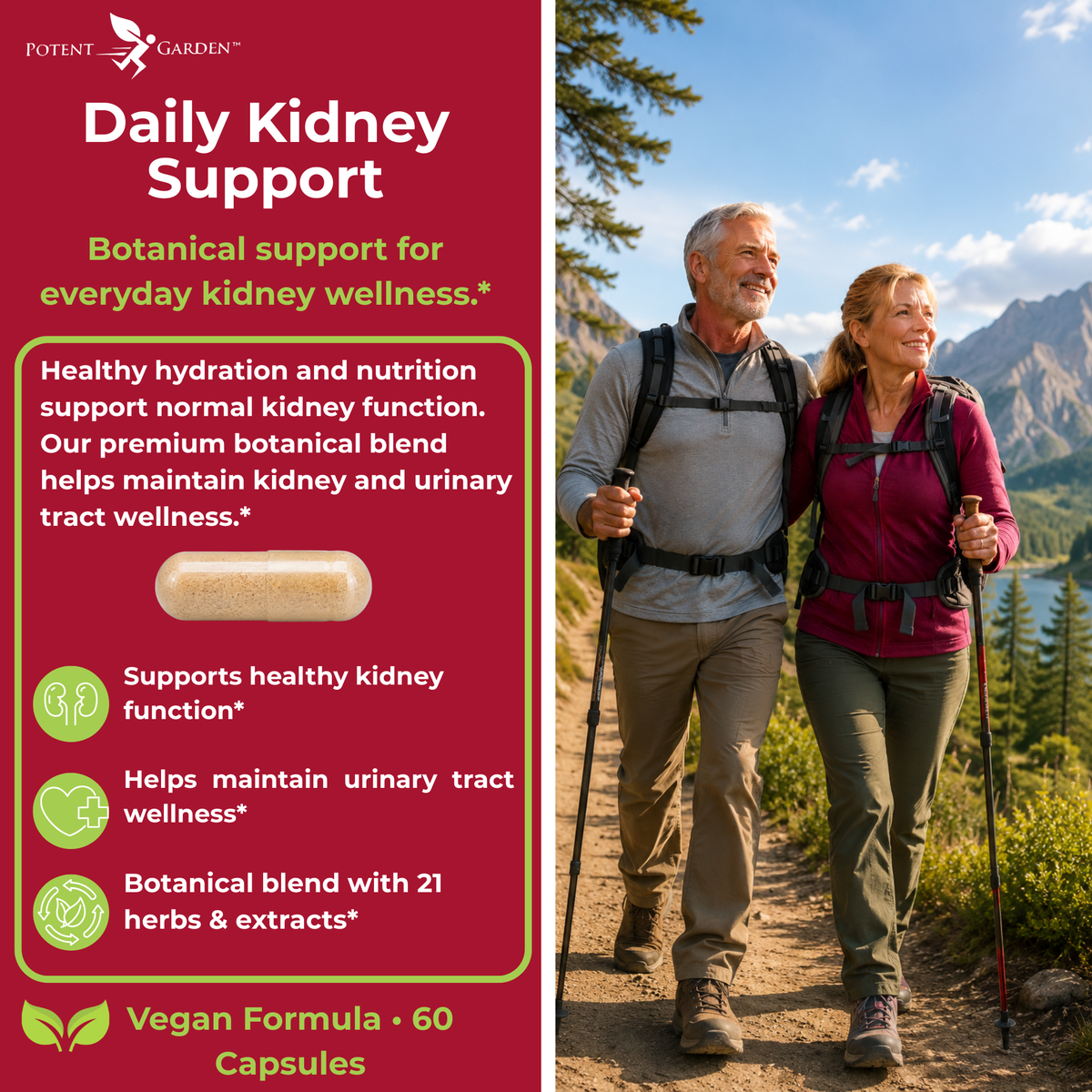 Kidney Cleanse – Herbal Support for Everyday Wellness | Potent Garden