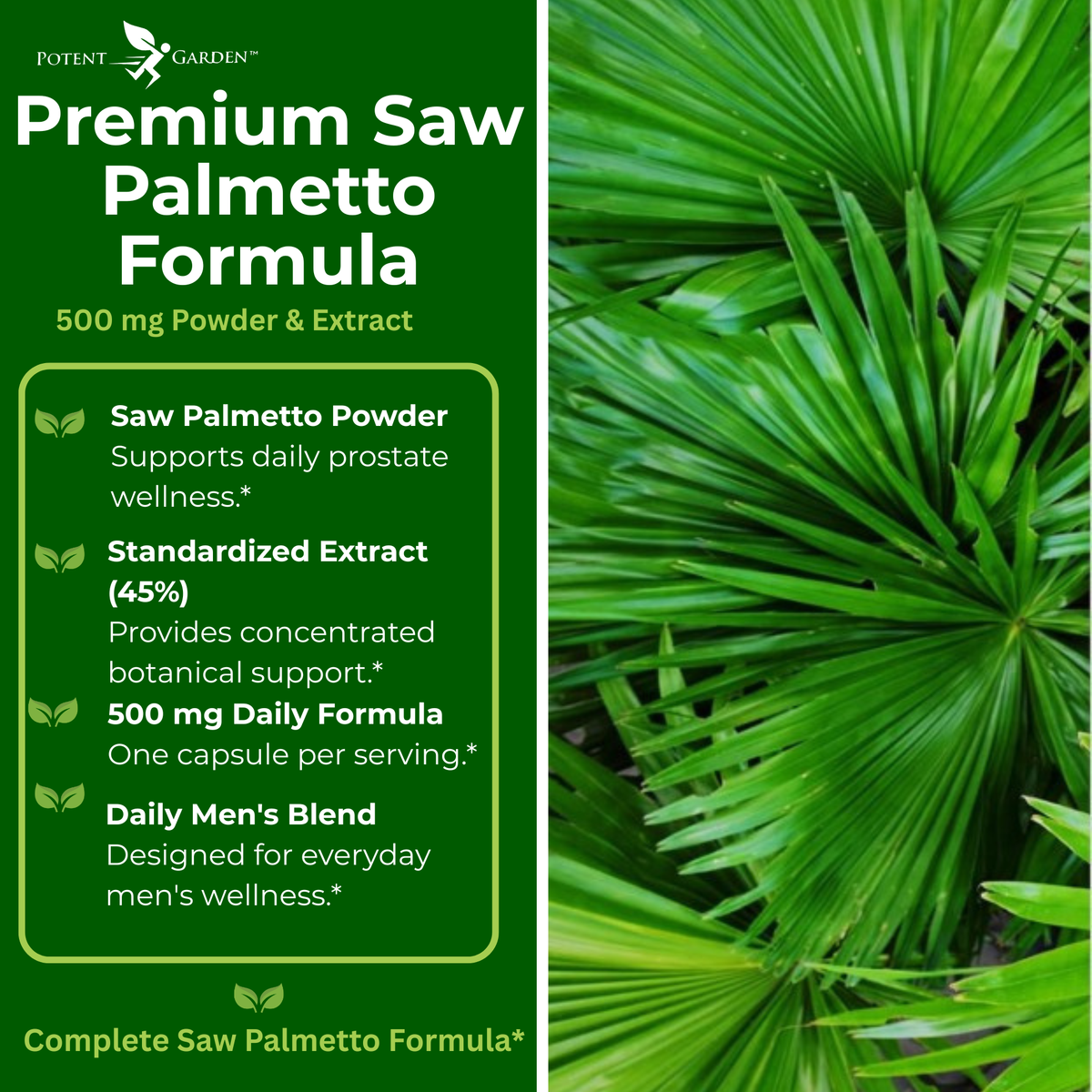 Saw Palmetto for Men | Potent Garden