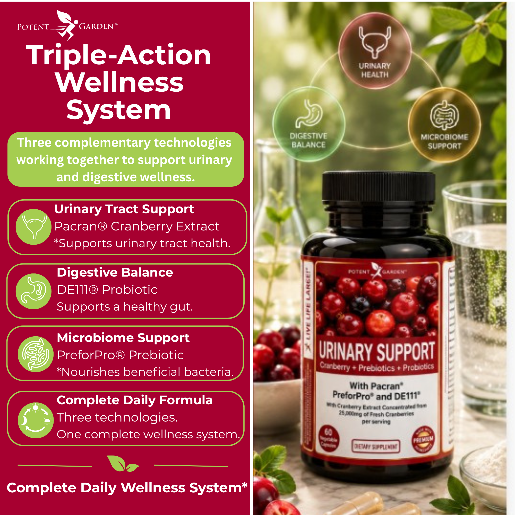 Urinary Support Supplement | Potent Garden