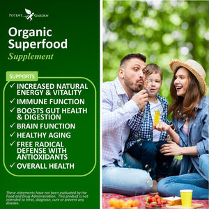 Potent Garden supplement 2PACK PREMIUM ORGANIC GREEN SUPERFOOD, FRUITS & VEGGIES (28 POWERFUL INGREDIENTS), 120 TABS