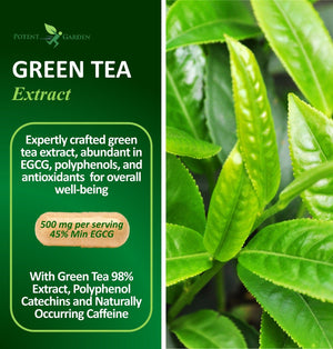 Potent Garden supplement PREMIUM GREEN TEA FAT BURNER, 120 CAPS