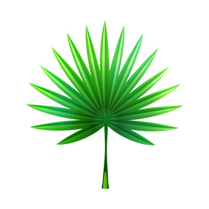 Saw Palmetto for Prostate Health