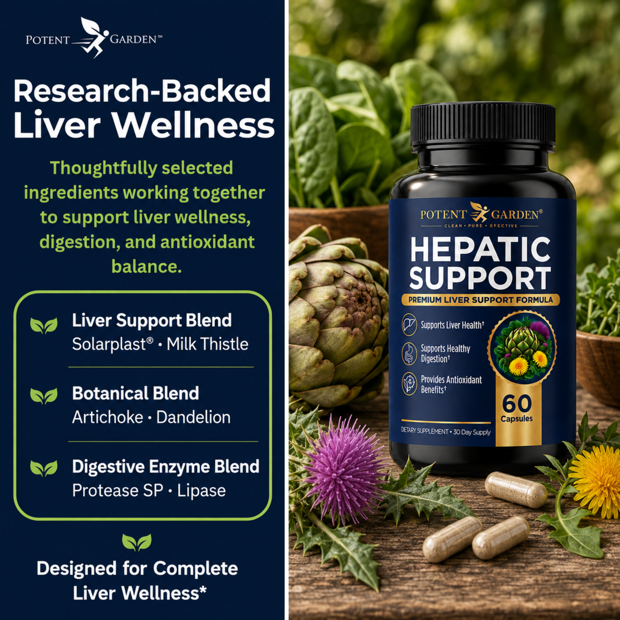 Hepatic Support Liver Supplement | Potent Garden