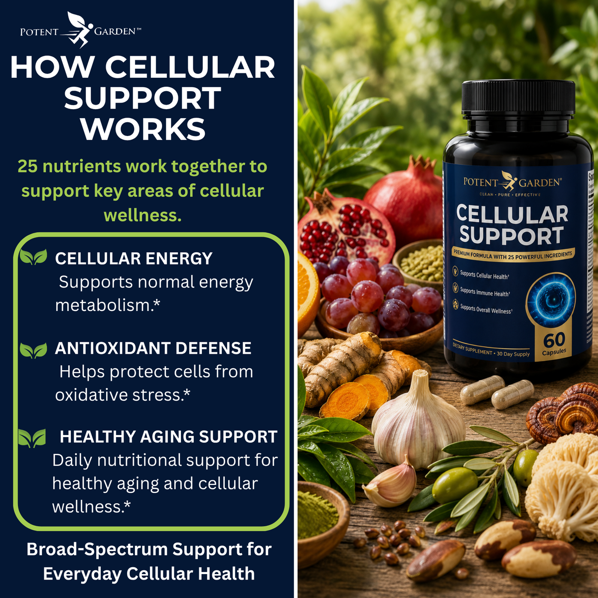 Cellular Support Supplement | Potent Garden