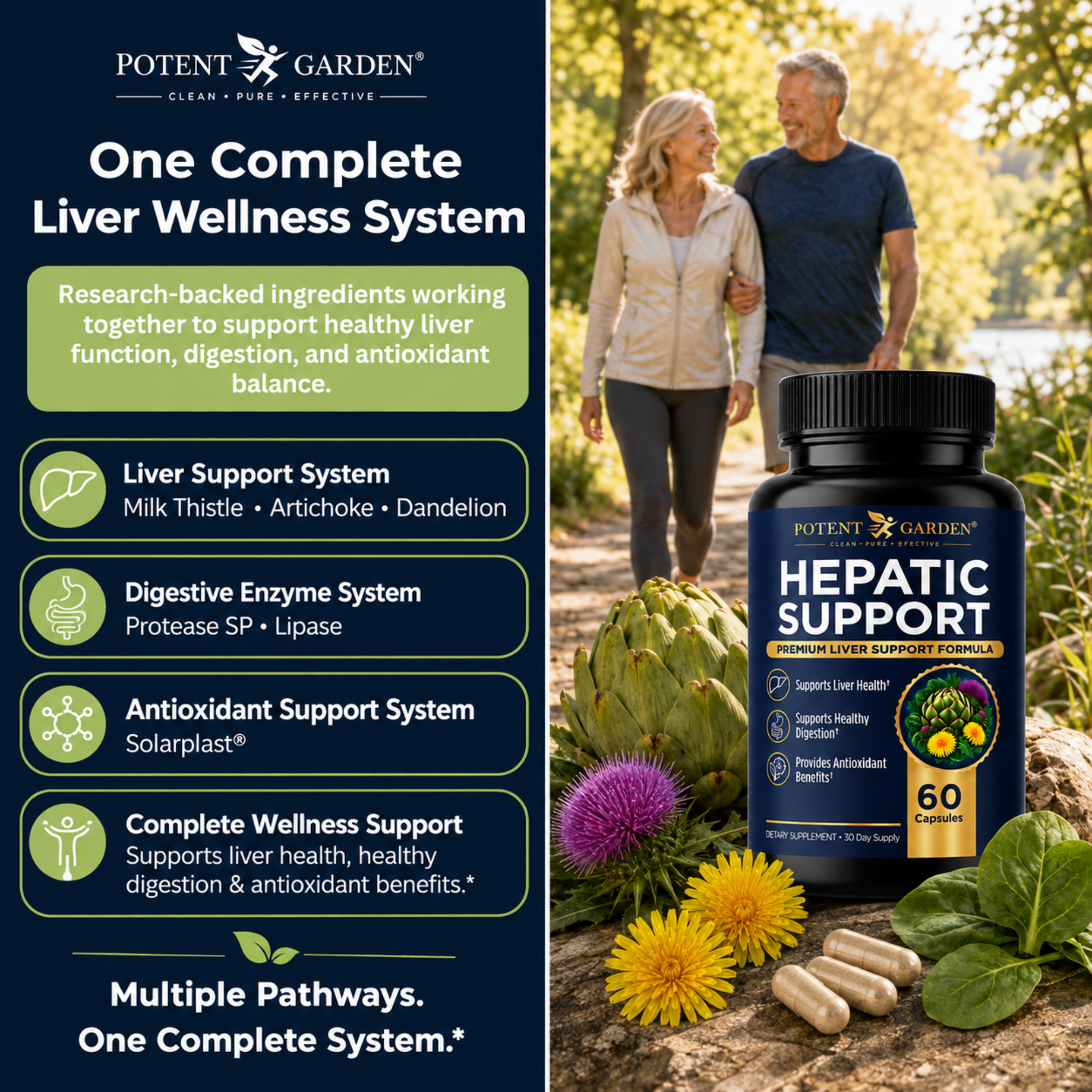 Hepatic Support Liver Supplement | Potent Garden