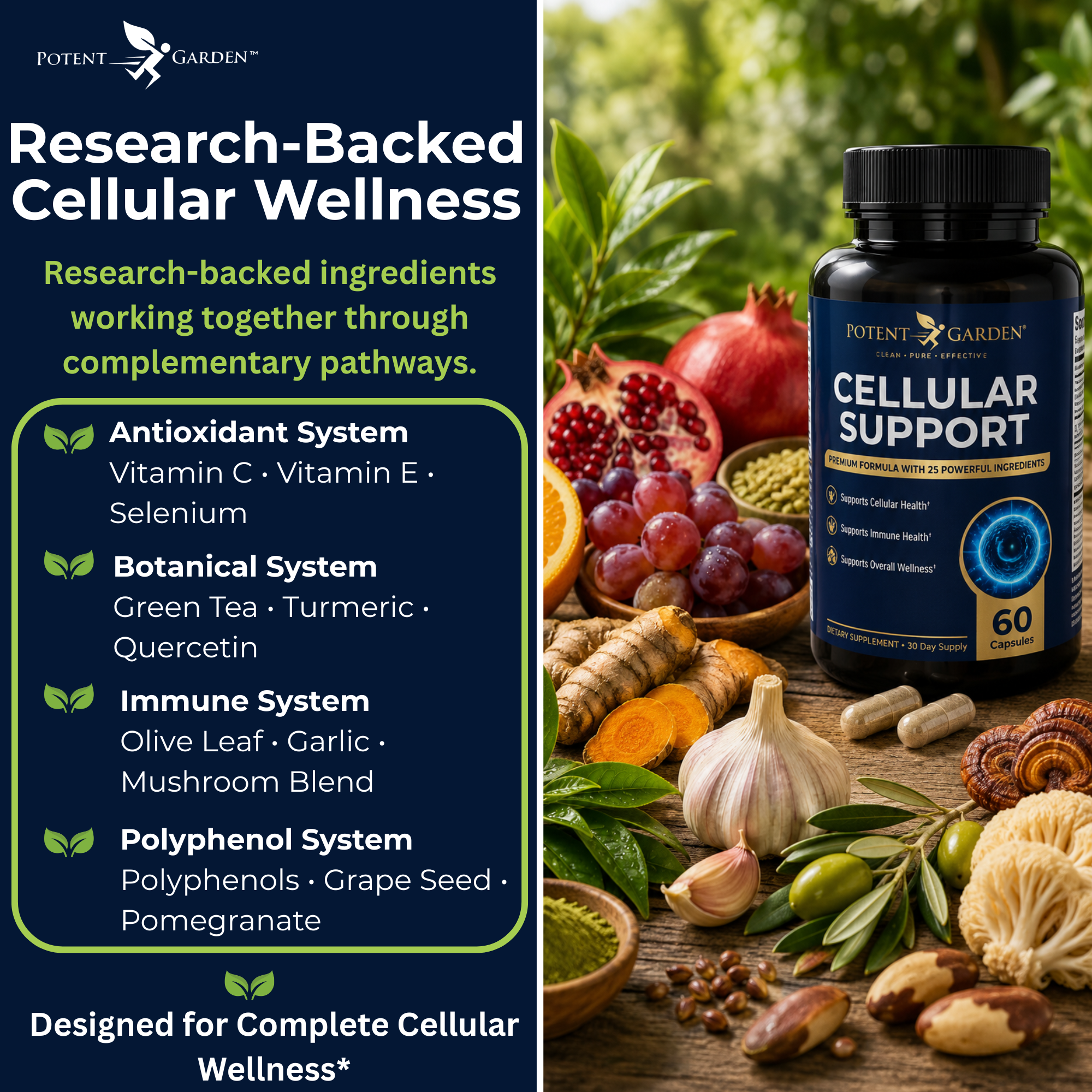 Cellular Support Supplement | Potent Garden