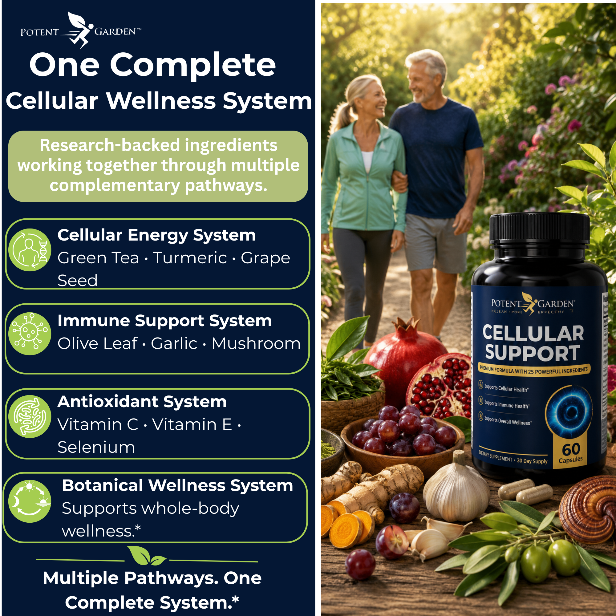 Cellular Support Supplement | Potent Garden