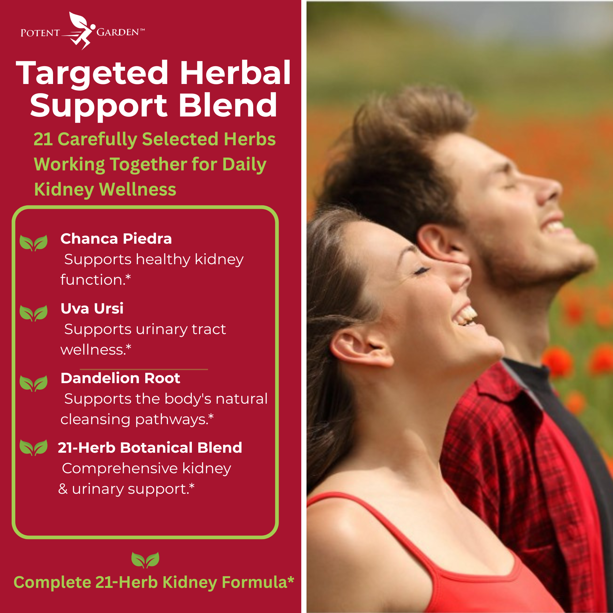 Kidney Cleanse – Herbal Support for Everyday Wellness | Potent Garden