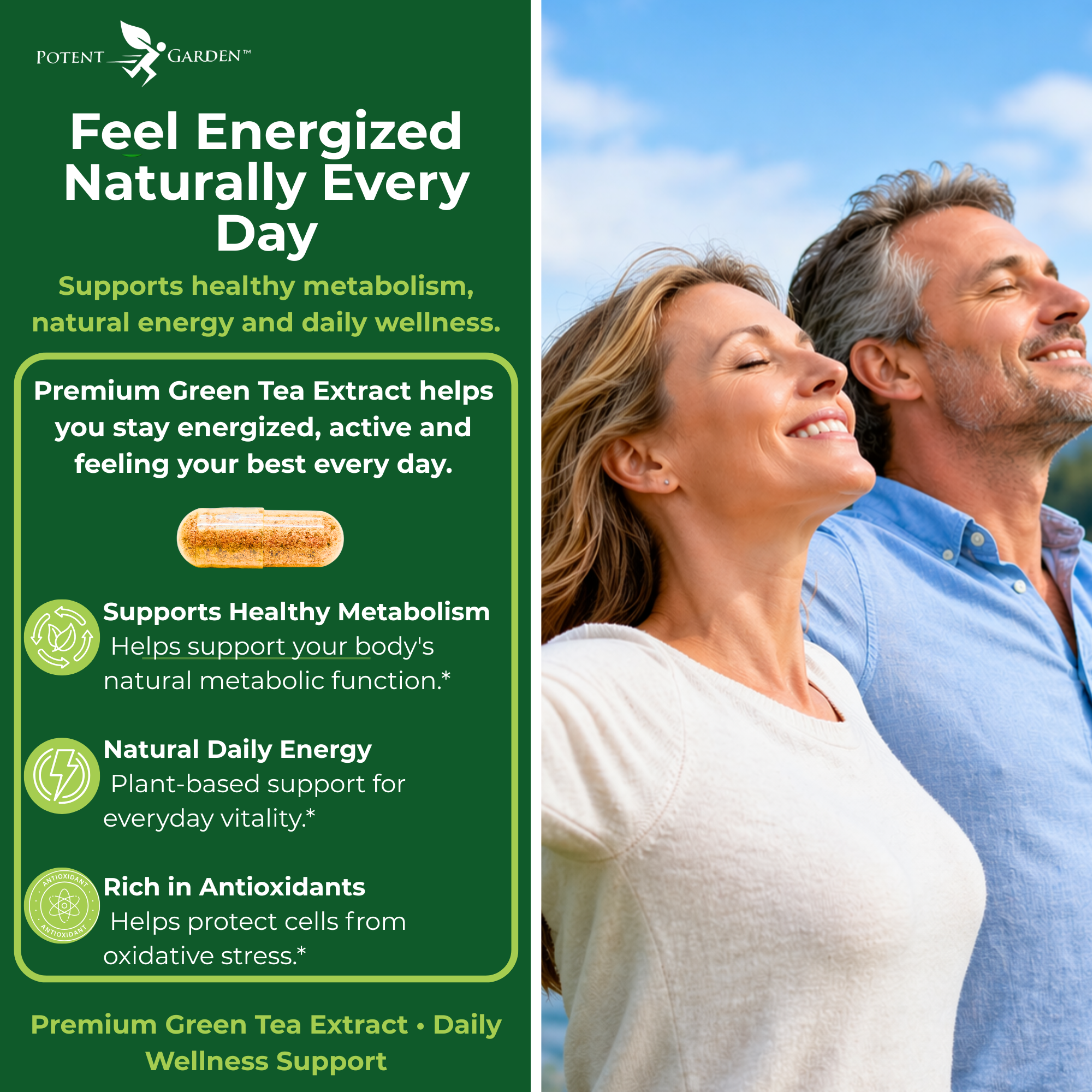 Green Tea Extract | Potent Garden