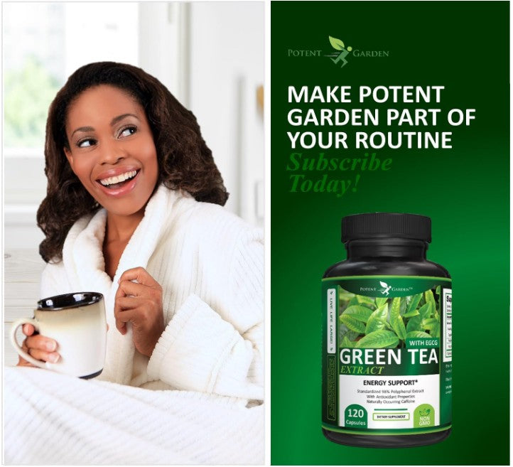 Green Tea Extract | Potent Garden
