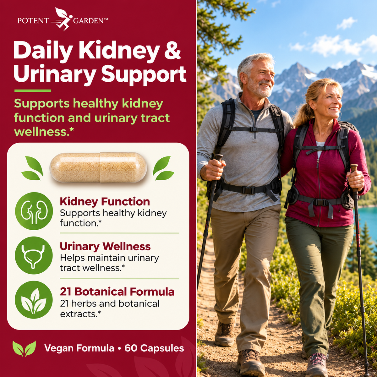 Kidney Cleanse – Herbal Support for Everyday Wellness | Potent Garden