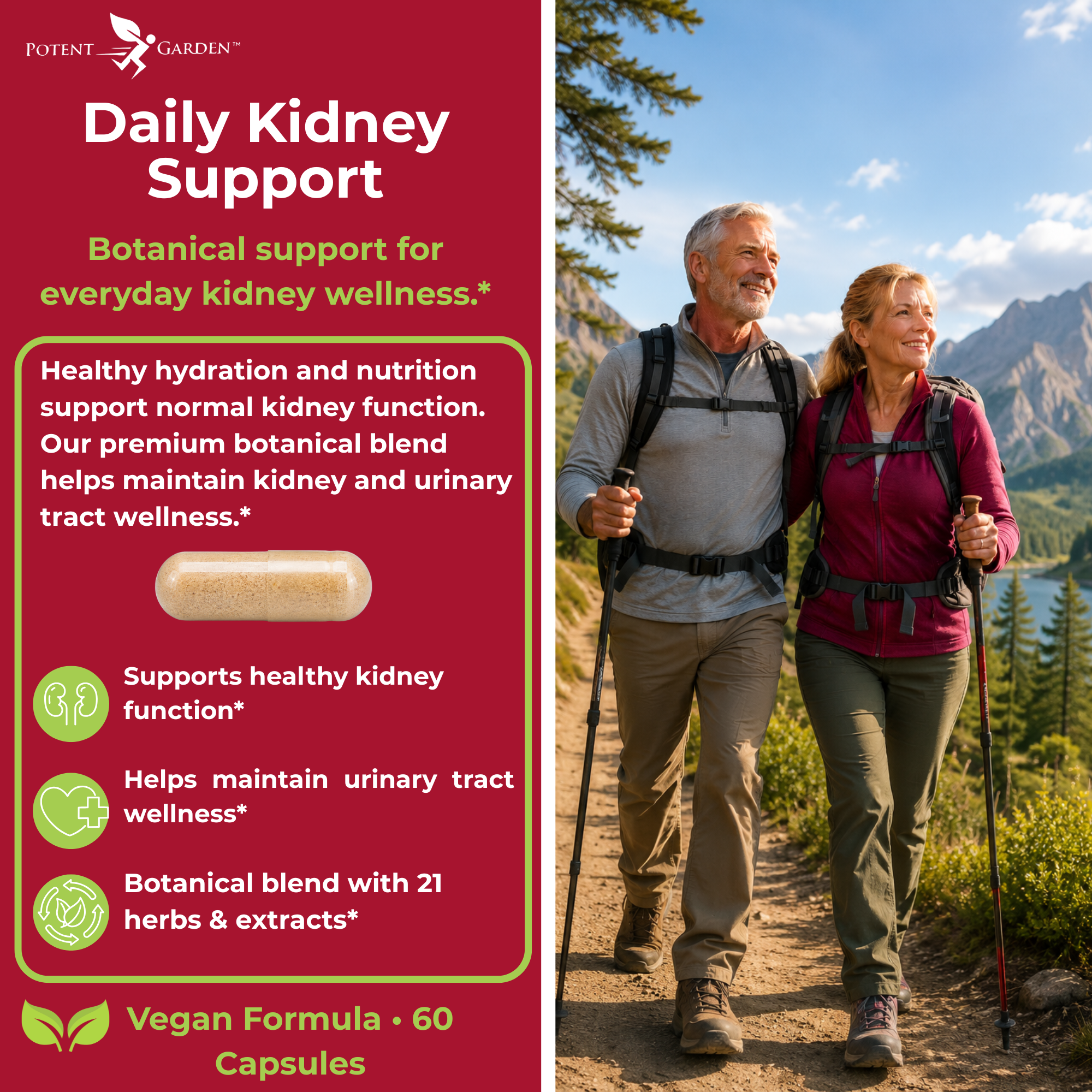 Kidney Cleanse – Herbal Support for Everyday Wellness | Potent Garden