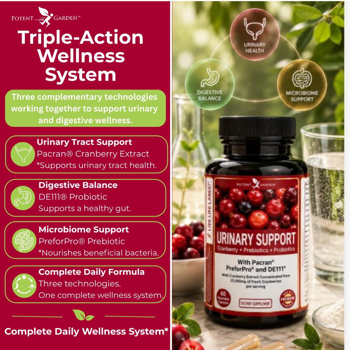 Urinary Support Supplement | Potent Garden