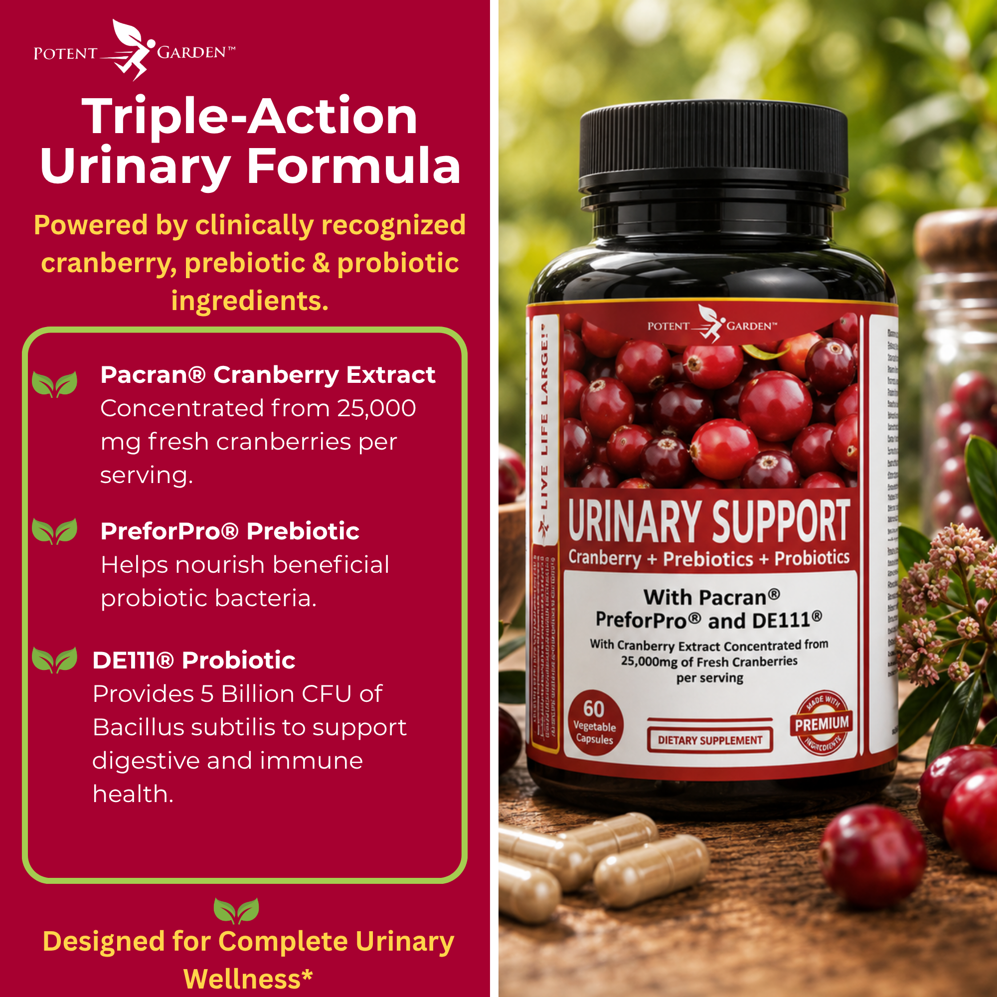 Urinary Support Supplement | Potent Garden
