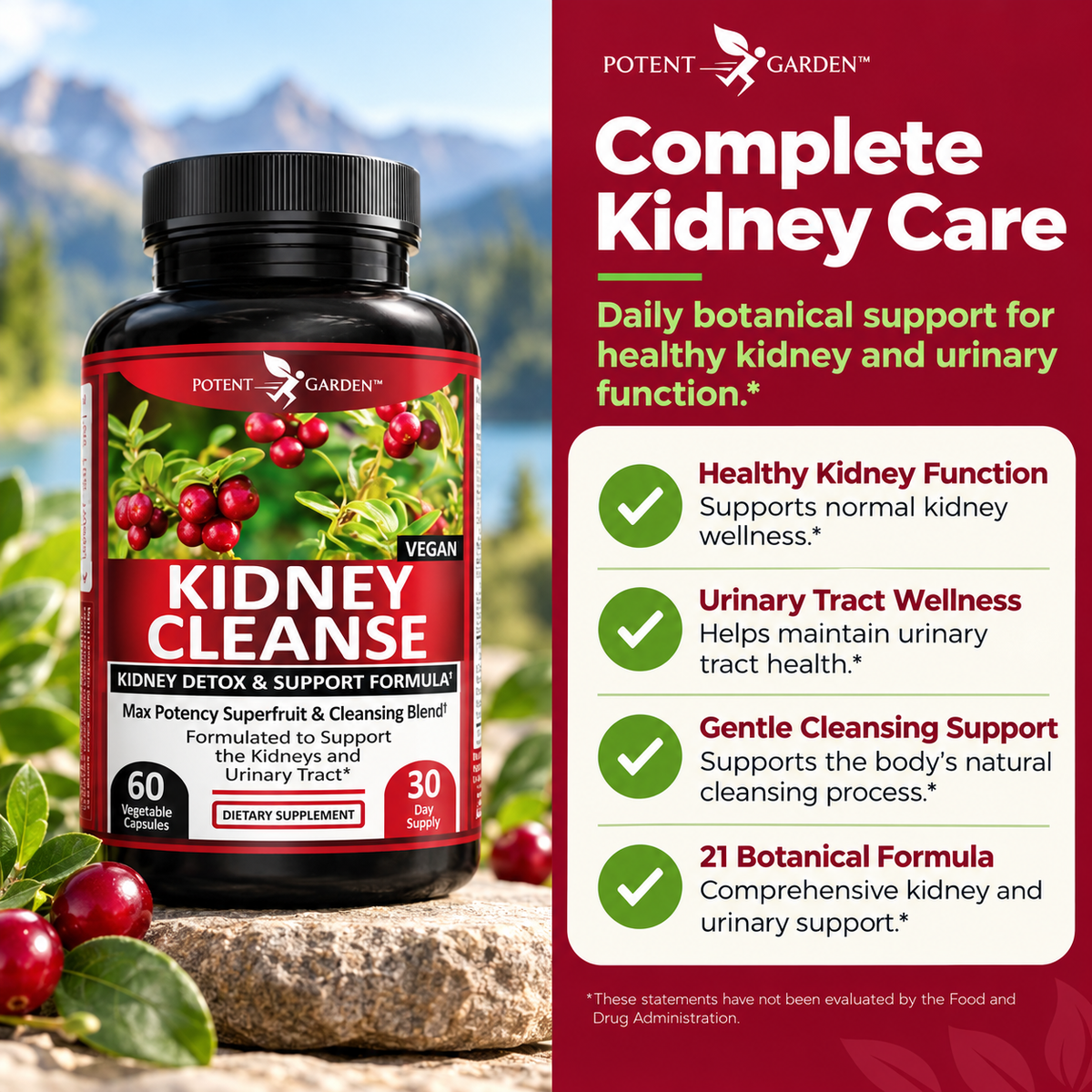Kidney Cleanse – Herbal Support for Everyday Wellness | Potent Garden