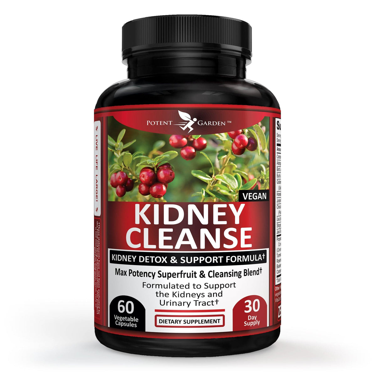 Potent Garden herbal supplement Kidney Cleanse – Herbal Support for Everyday Wellness | Potent Garden