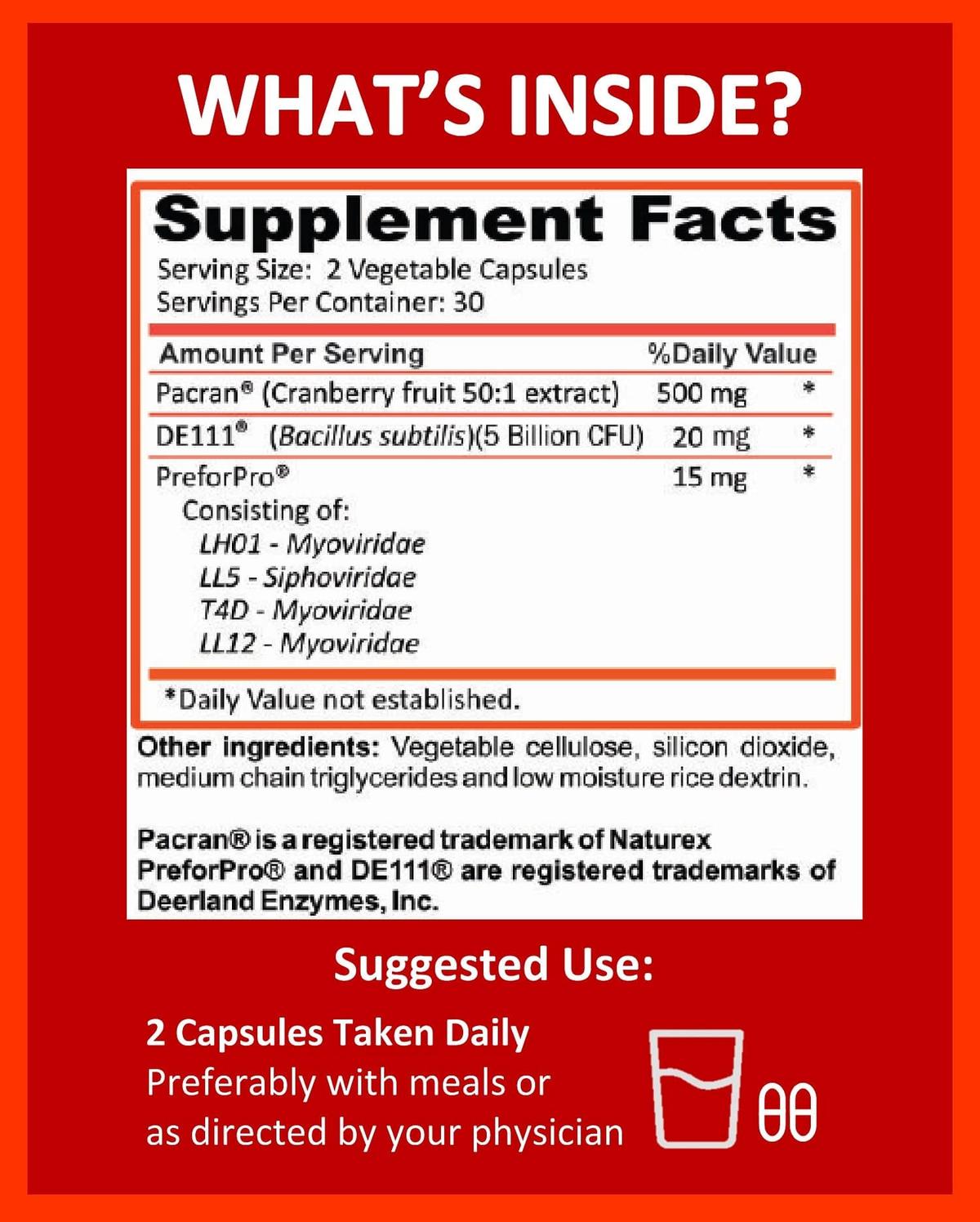 Potent Garden supplement PREMIUM URINARY SUPPORT WITH PREBIOTICS & PROBIOTIC, 60 VEG CAPS